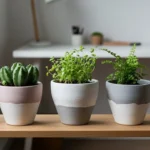 How to Decorate Clay Pots for a Clean and Modern Look