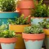 How to Decorate Clay Pots with Soft Chalk Paint Finishes